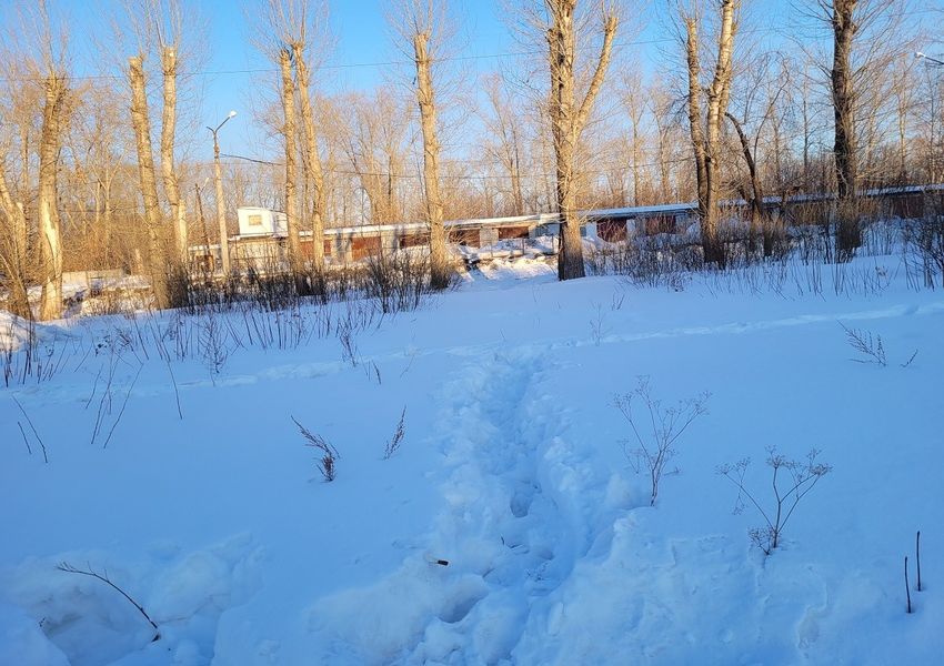 Скоро на этом пустыре появится спортплощадка.