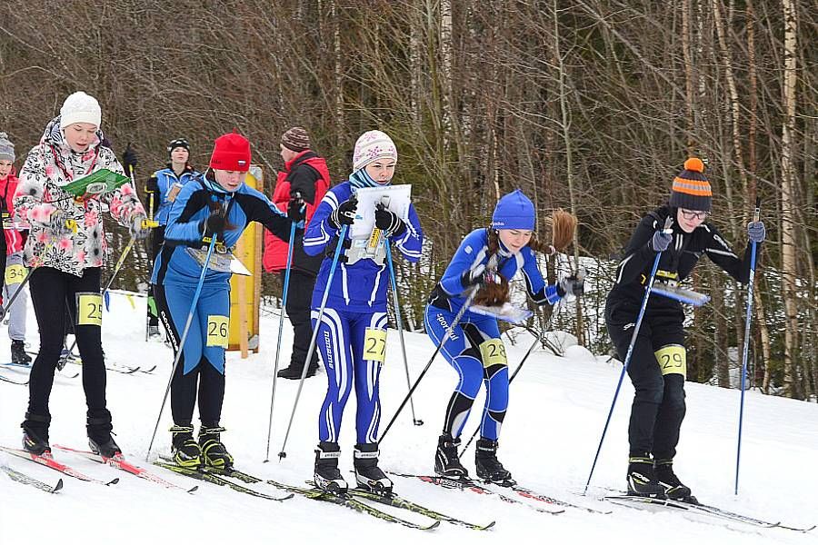 Спортивное ориентирование на лыжах - увлекательный вид спорта.