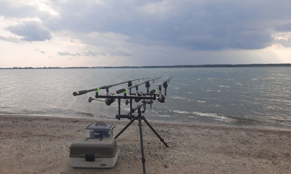 Carp & fishing. Короли, первое знакомство