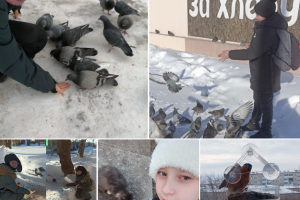 Подробнее...