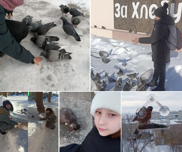 Акция "Эстафета добра" будет продолжаться