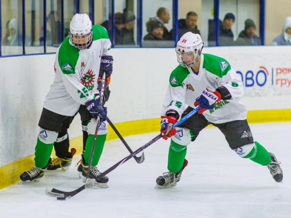 В хоккее определилась сетка плей-офф